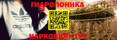 шишки Старая Купавна