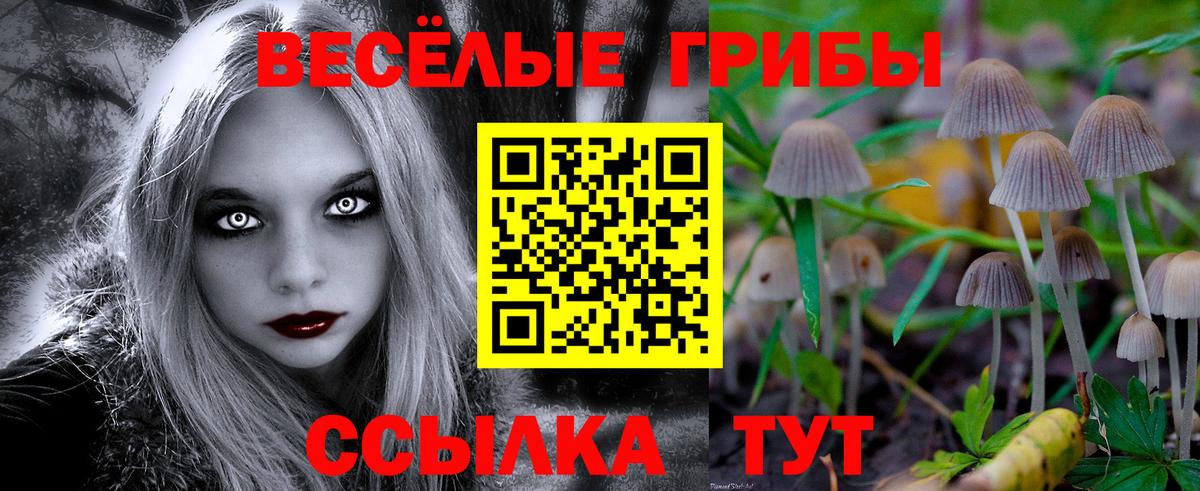Галлюциногенные грибы мицелий  Вход с VPN  купить наркоту  Нижний Новгород 